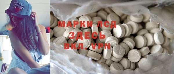 гашик Алексин