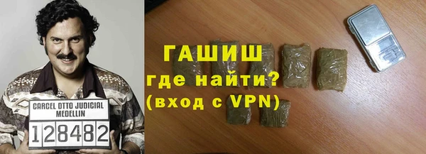 гашик Алексин