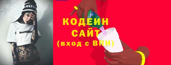 гашик Алексин