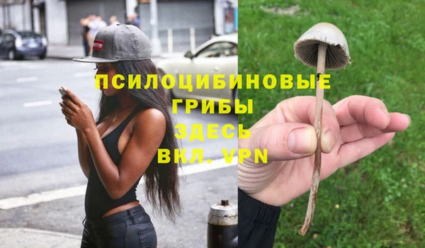 гидропоника Алексеевка