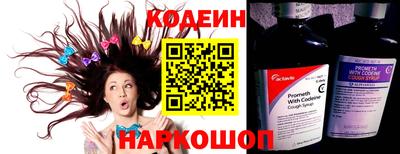хмурый Кингисепп