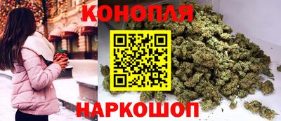 хмурый Кингисепп