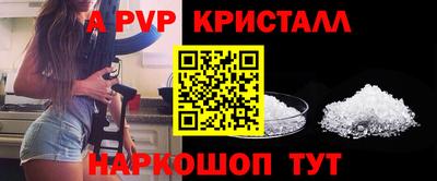 хмурый Кингисепп