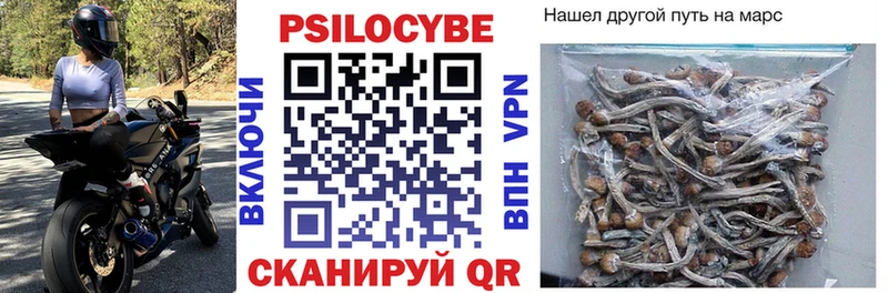 Галлюциногенные грибы Psilocybine cubensis  где продают наркотики  Конаково 