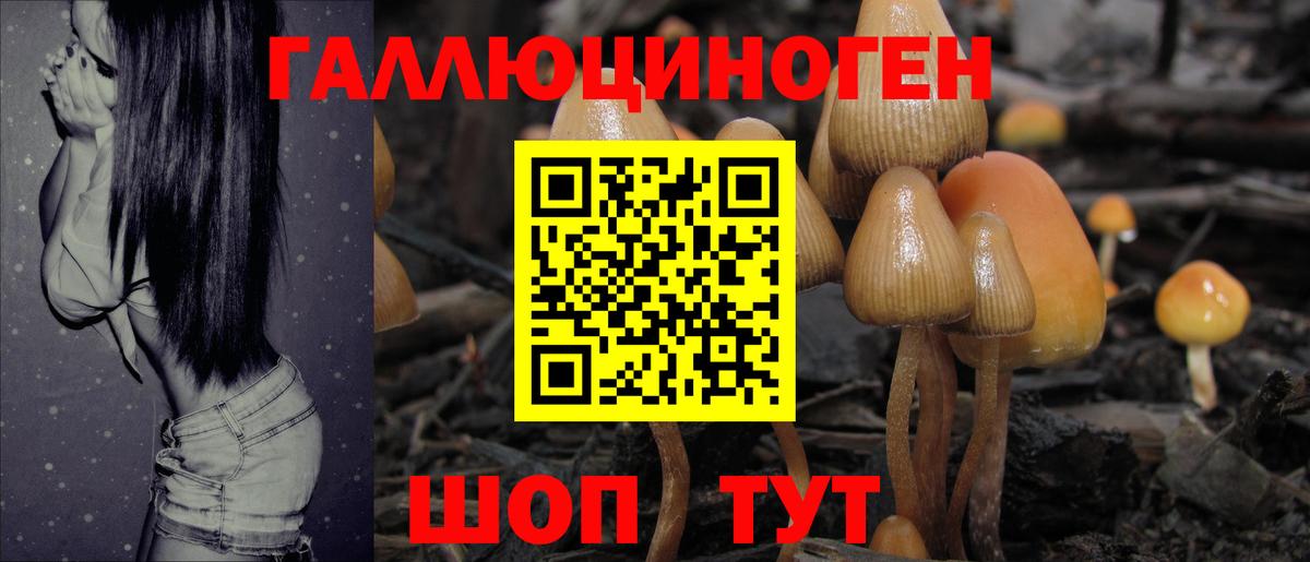 Конаково  Галлюциногенные грибы Magic Shrooms  Вход с VPN  Галлюциногенные грибы прущие грибы 
